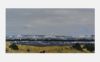 Picture of 'Long Beach Days',  Original Acrylic Painting, Print on Canvas, 24" x 12" x .75"